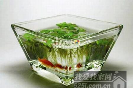 辦公室風水布局