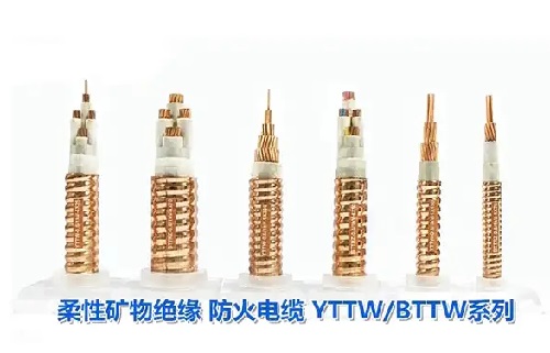 YTTW與BTTZ電纜哪個貴好用？(圖1)