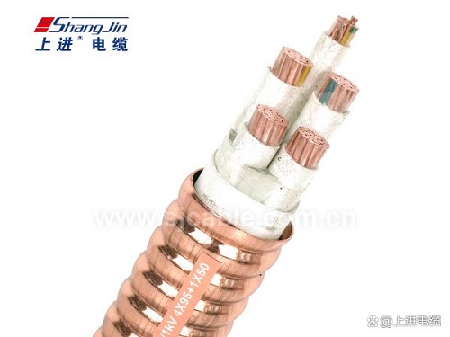 RTTZ電纜用什么材料結(jié)構(gòu)？(圖1)
