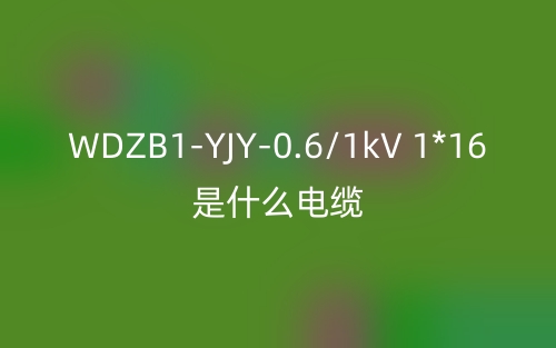WDZB1-YJY-0.6/1kV 1*16是什么電纜？(圖1)