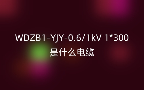 WDZB1-YJY-0.6/1kV 1*300是什么電纜？(圖1)