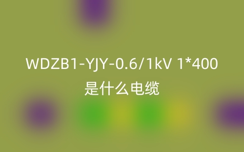 WDZB1-YJY-0.6/1kV 1*400是什么電纜？(圖1)