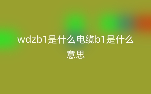 wdzb1是什么電纜b1是什么意思？(圖1)