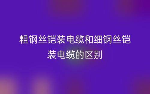 粗鋼絲鎧裝電纜和細(xì)鋼絲鎧裝電纜的區(qū)別是什么？(圖1)