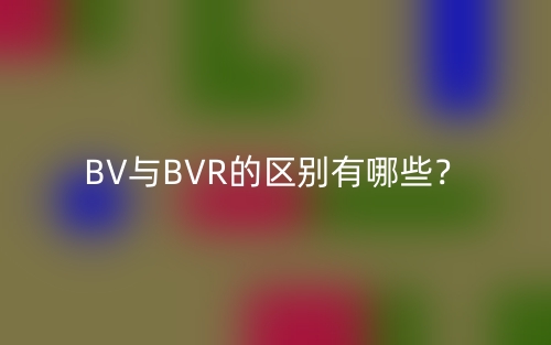 BV與BVR的區(qū)別有哪些？(圖1)