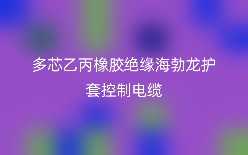 多芯乙丙橡膠絕緣海勃龍（氯丁橡膠）護套控制電纜(圖1)