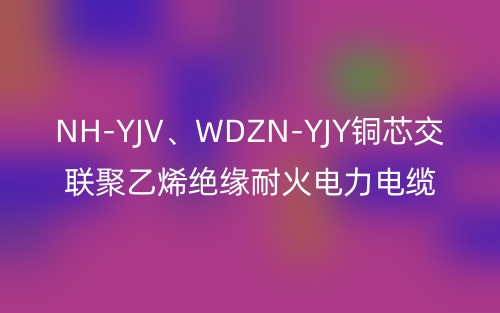 NH-YJV、WDZN-YJY銅芯交聯(lián)聚乙烯絕緣耐火電力電纜(圖1)