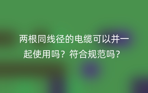 兩根同線徑的電纜可以并一起使用嗎？符合規(guī)范嗎？(圖1)
